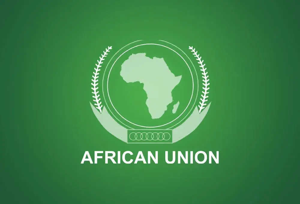 Understanding the African Union